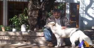 Dragon6407 56 years old I am from Posadas/Misiones, Seeking Dating Friendship with Woman