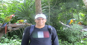 Tigersnake 47 years old I am from Sao Paulo/Sao Paulo, Seeking Dating Friendship with Woman